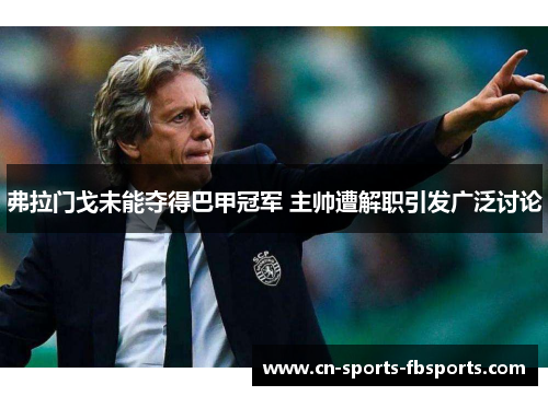 弗拉门戈未能夺得巴甲冠军 主帅遭解职引发广泛讨论 弗拉门戈未能夺得巴甲冠军 主帅遭解职引发广泛讨论