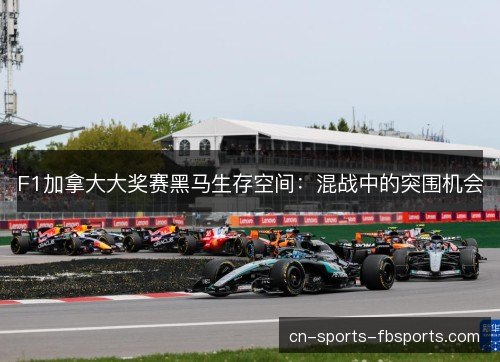 F1加拿大大奖赛黑马生存空间:混战中的突围机会 F1加拿大大奖赛黑马生存空间:混战中的突围机会